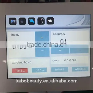 0.5HZ 2016 Professional Tattoo Removal Laser Machine Q-switched Nd Yag Laser/nd Yag Laser Prices/cosmetic Nd Yag Laser Machines Prices Q Switch Laser Tattoo Removal Machine thumbnail-2