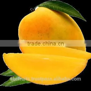Pure Totapuri Mango Concentrate thumbnail-1