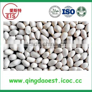High Quality Blanched Peanut Kernel From China With Best thumbnail-2