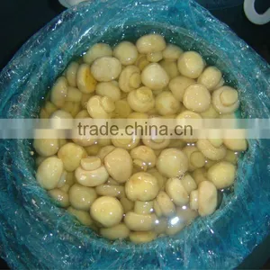 China Supply Competitive Price a Grade Mushroom in Drum thumbnail-1