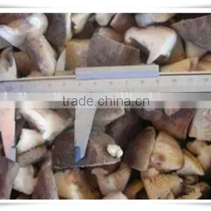 Famous Brand in China /popular Food/ China Frozen Food Mushroom thumbnail-2