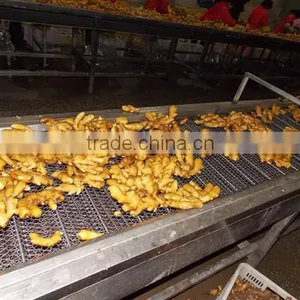 2016crop Air Dried Ginger Price thumbnail-3