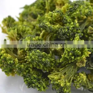 China Wholesale Broccoli, Broccoli Powder,Dried Broccoli Best Selling Products in Europe thumbnail-2
