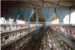 Poultry Feeding System thumbnail-1