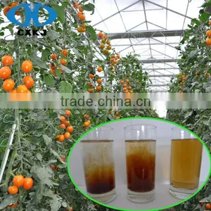 Super Organic Fertilizer Fulvic Humic Acid For Fruit And Vegetables thumbnail-2