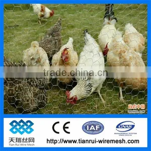Galvanized Hexagonal Wire Mesh Chicken Wire thumbnail-1