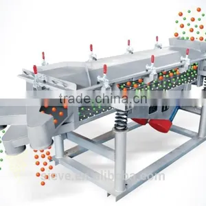 Vibrating Screen for Recycled PET Chips thumbnail-1
