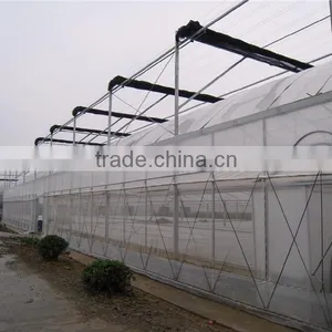 Muiti Tunnel Agriculture Greenhouse for Sale thumbnail-2