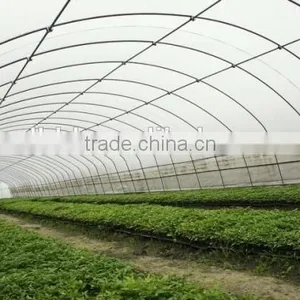 Baolida Single Span Green House thumbnail-2