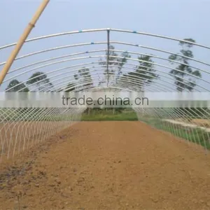 Small Size and PE Material Low Cost Greenhouse thumbnail-4