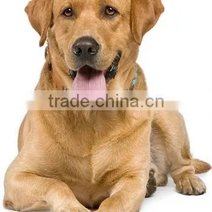Natural Private Label Dog Food thumbnail-6