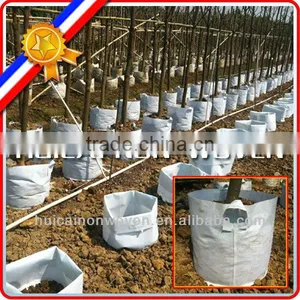 Various Sizes and Heights Needle Punch Non Woven Grow Bags thumbnail-1