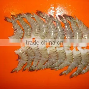 Flower Shrimps HLSO thumbnail-1