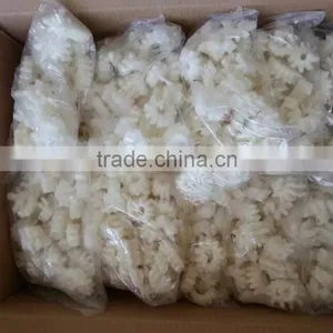 Squid Flowers Hot Selling thumbnail-1