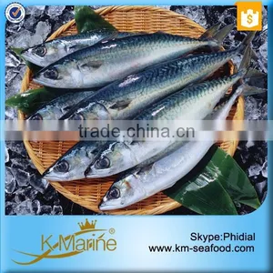 Fresh Frozen Mackerel Fish thumbnail-4