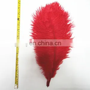 Ostrich Feather thumbnail-6