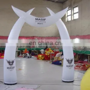 ACe--- Daming &waha ----inflatable Pillar thumbnail-6