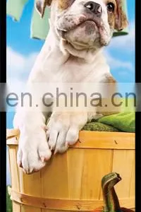 Unique Design 3d Hologram Beautiful Bookmark thumbnail-2