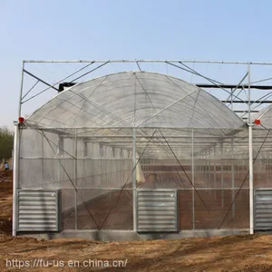 Multi Span PE Film Agricultural Greenhouse thumbnail-2