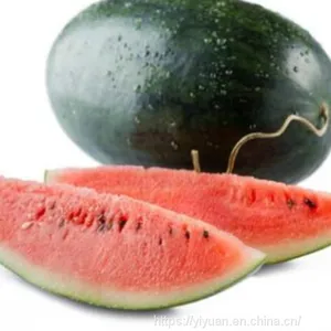 Watermelon F1 Hybrid Sweet Melon Seeds Fruit Seeds No.89 thumbnail-3