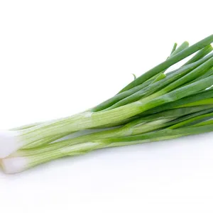 Fresh Green Onions Fresh Vegetables thumbnail-1