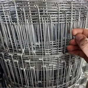 Cattle Fence Metal Welded Wire Mesh for Cattle Type Wire Cloth thumbnail-4