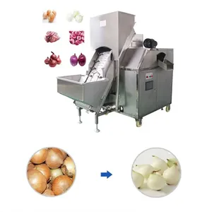 Shanghai New-Onion High Efficiency Drying Machine Food-Applicable Farm & Food Shop Industries thumbnail-6