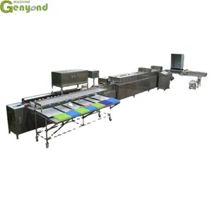 Shanghai Factory Eggs Washing and Dry Machine Egg Shape Wash Basin Zenyer Egg Wash Machine thumbnail-1