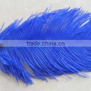 High Quality Real Natural Ostrich Feathers, Decorative Feathers Wholesale thumbnail-3