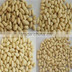 New Crop Chinese Roasted Peanuts In Shell thumbnail-5