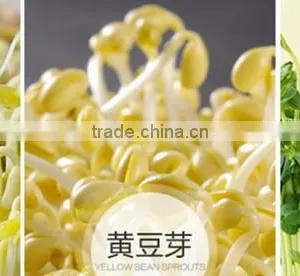 Black Bean Sprout Machine/peanut/ thumbnail-5