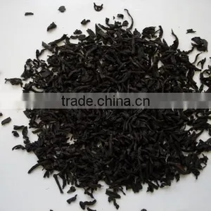 Lapsang Souchong thumbnail-4