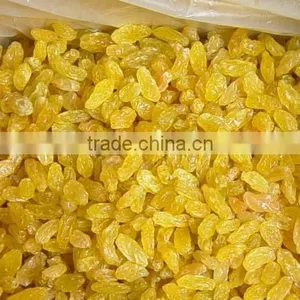 Dried Golden Raisins Yellow Raisins thumbnail-1