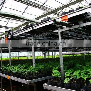 Polycarbonate Sheet Greenhouse thumbnail-3