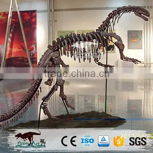 OA4126 High Quality Dinosaur Skeleton Model thumbnail-5