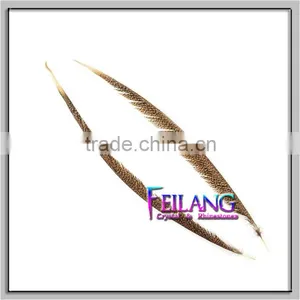 CHEAP PHEASANT GOLDEN FEATHERS thumbnail-3