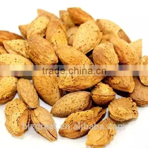 Good Taste Snack Roasted Almond With Shell for Sales thumbnail-3