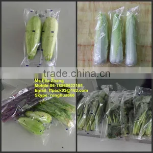 Multi-Function Automatic Vegetable and Fruit Packing/ Wrapping Machine/Horizontal Flow Packaging Machine thumbnail-2