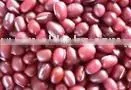 Dark Red Adzuki Bean thumbnail-1