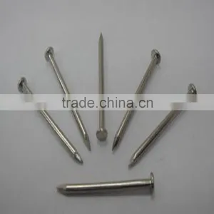 From FACTORY High Quality Common Nails thumbnail-5
