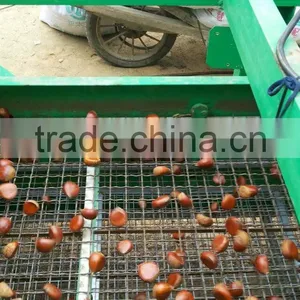 Health Food New Crop Organic Fresh Bulk Chestnuts thumbnail-4