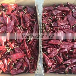 DryRed Chili thumbnail-3