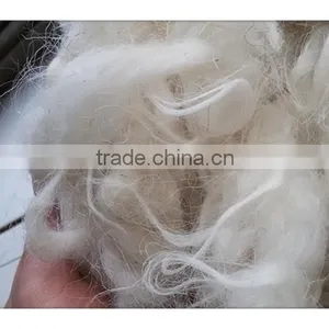 Good White Clipped Wool for Carpet Yarn thumbnail-1