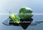 2011 FRESH RED PEPPER thumbnail-1
