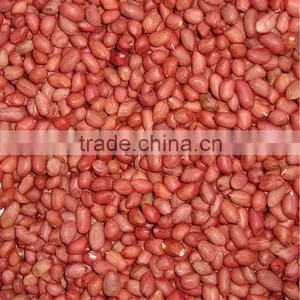 HIGH QUALITY GROUNDNUT KERNEL 40/50 thumbnail-3