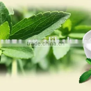 Stevia Chewing Gum,stevia Extract Pure Powder thumbnail-1