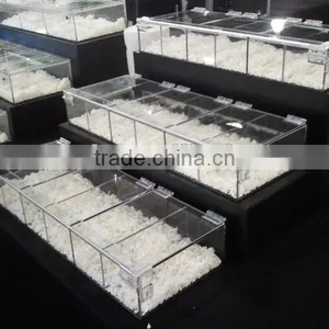 Acrylic Reptile Display Cases thumbnail-1
