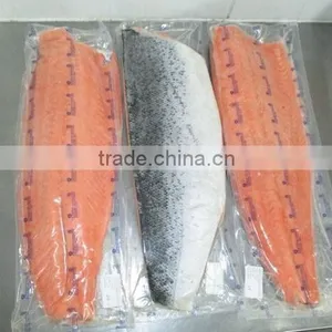 Salmon Fillets thumbnail-1
