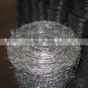 Barbed Wire thumbnail-1