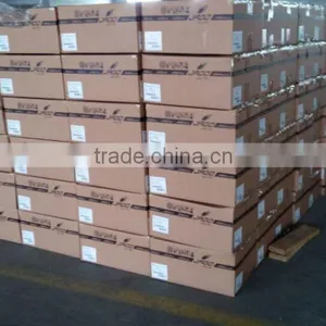 Economic Manual Fertilizer Salt Spreader thumbnail-6